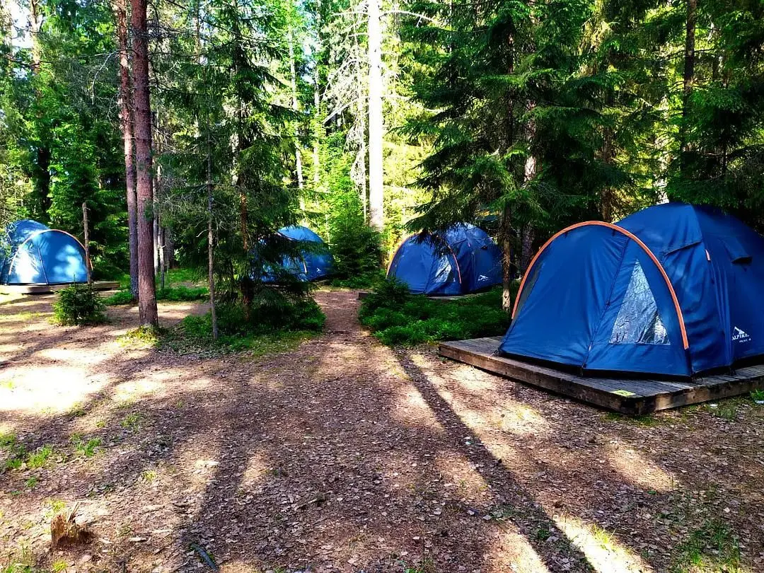 Семейный клуб Робинзонада, Новгородская область: фото 3