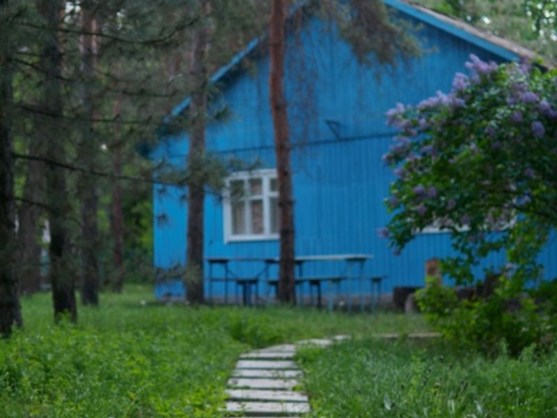 база отдыха дача поддубного. Смотреть фото база отдыха дача поддубного. Смотреть картинку база отдыха дача поддубного. Картинка про база отдыха дача поддубного. Фото база отдыха дача поддубного
