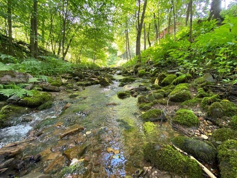 Кук караук башкортостан фото