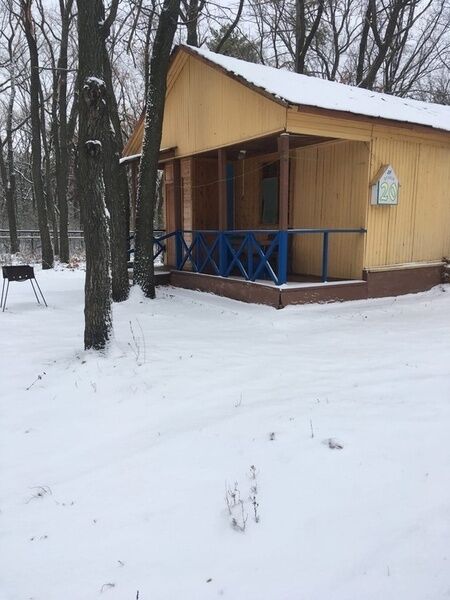 Турбаза Дубки Волгоград. Турбаза Дубки Зольное завод Металлург. Дубки база отдыха Набережные Челны.