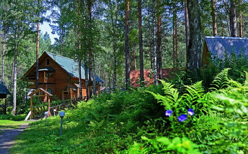 База манжерок горный алтай фото