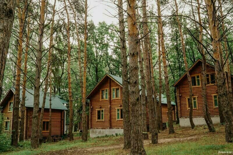 Домик в лесу, Республика Татарстан: фото 4