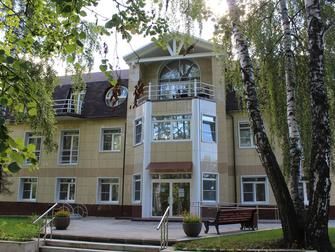 Елочки