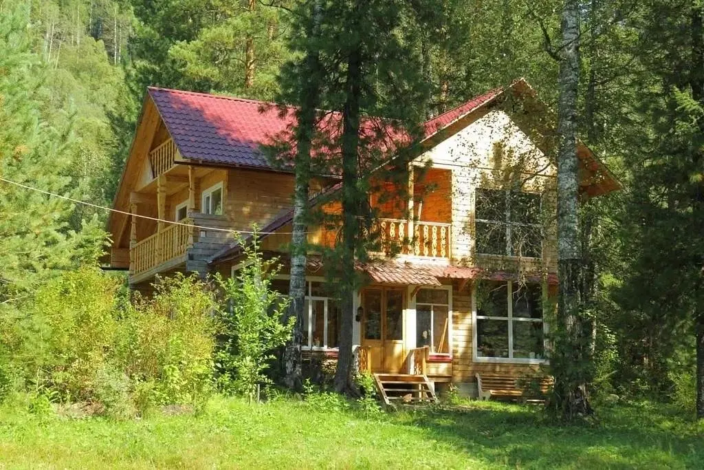 Бия Заповедная, Горный Алтай (Республика Алтай): фото 2