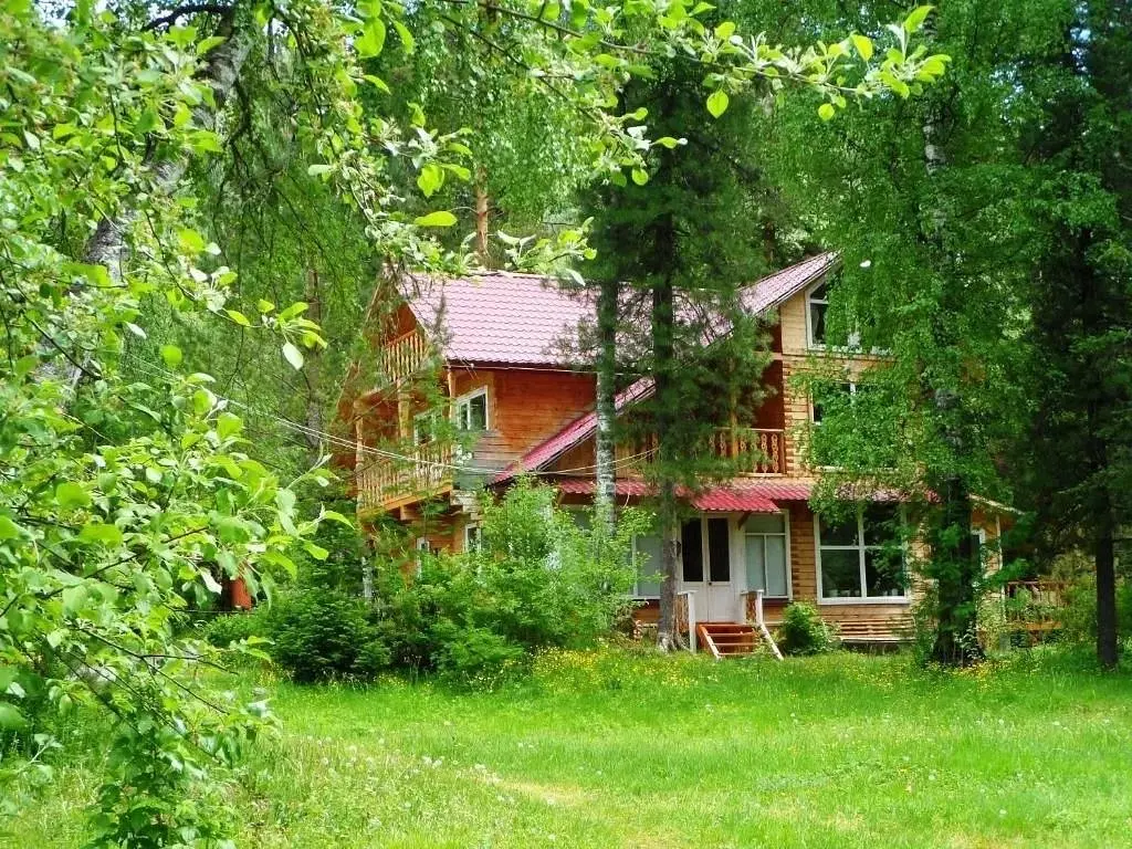 Бия Заповедная, Горный Алтай (Республика Алтай): фото 4