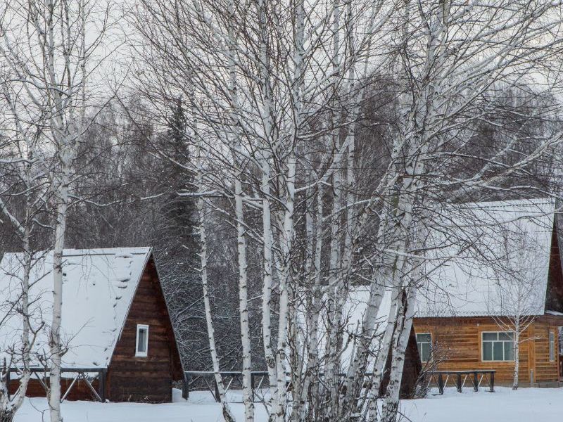 Усть кокса республика алтай фото