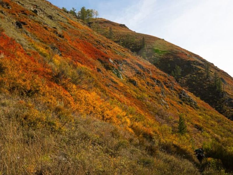 Усть кокса республика алтай фото