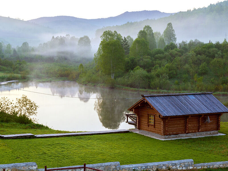 Алтайский маральник фото