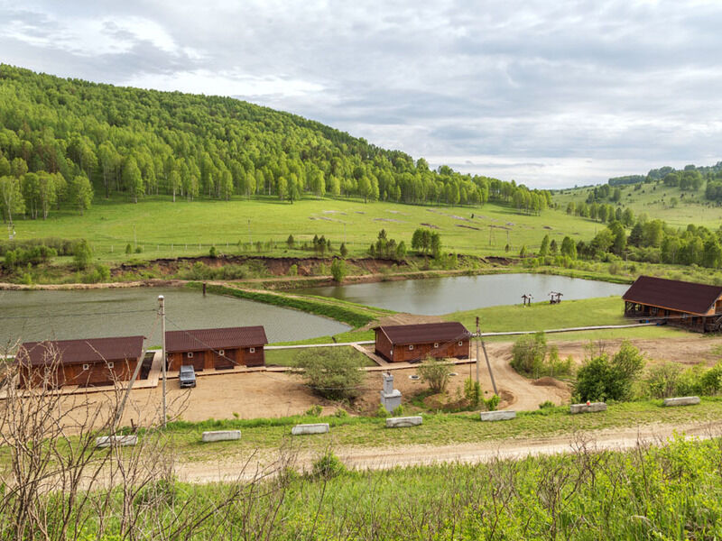 Алтайский маральник фото