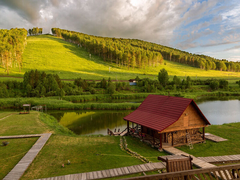 Алтайский маральник фото