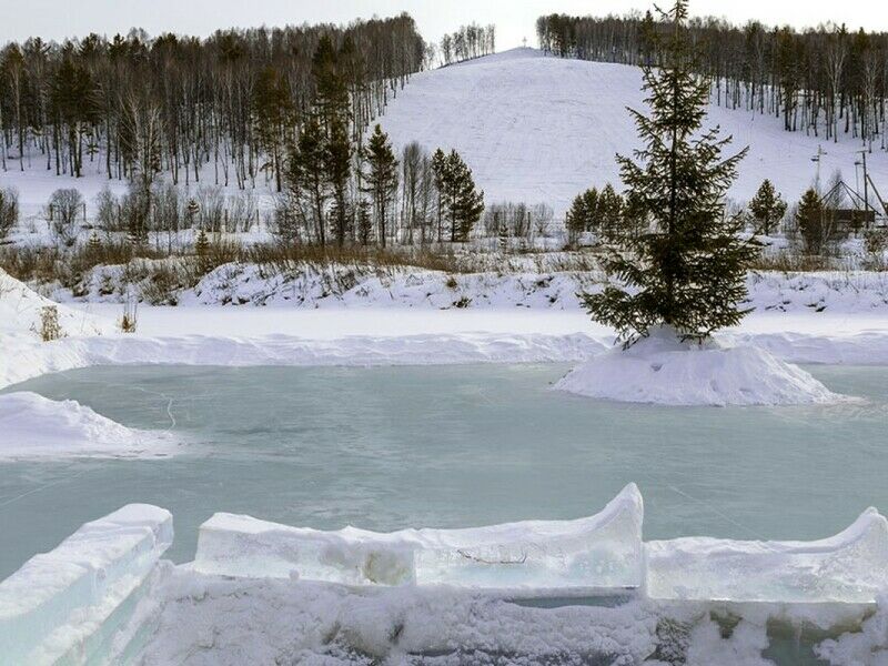 Алтайский маральник фото