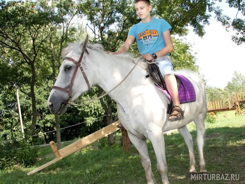 катание на лошади