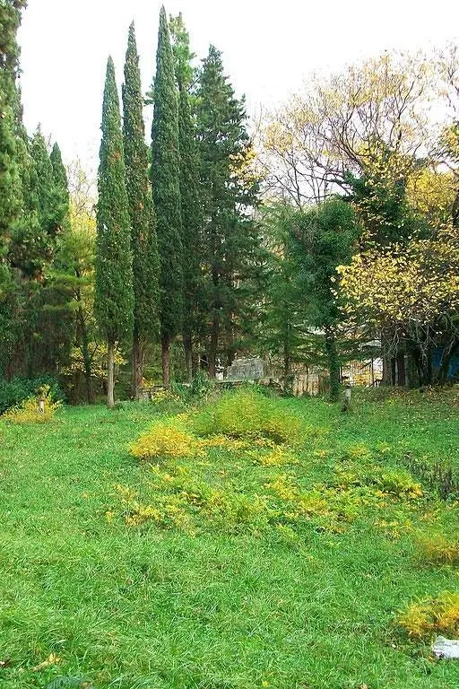 Территория | Гизель-Дере, Краснодарский край
