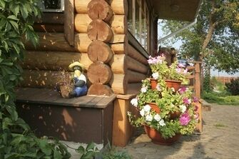 Цветы