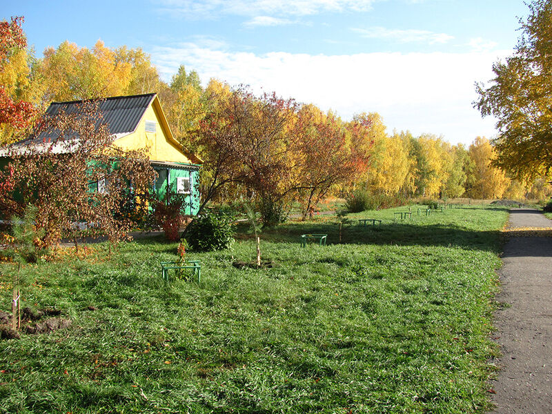 База отдыха зотино омск фото