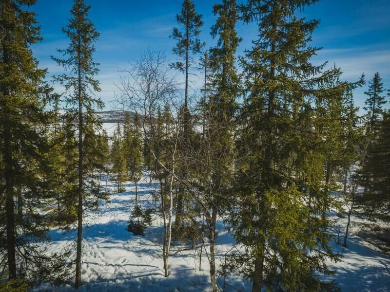 Фото база лесная апатиты