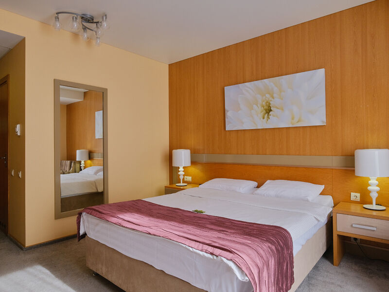 Джуниор сюит 2-местный 1-комнатный