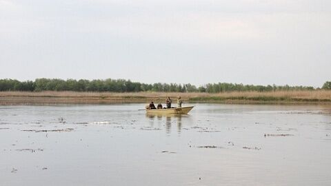 Рыбалка | Теплоход Влиятельный, Астраханская область