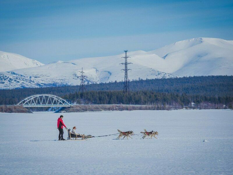 Экостровский мост