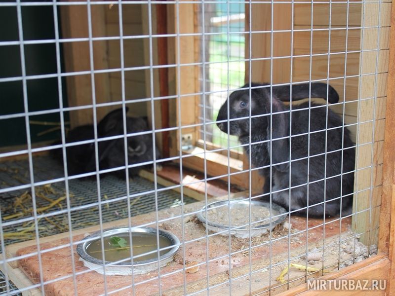 Территория