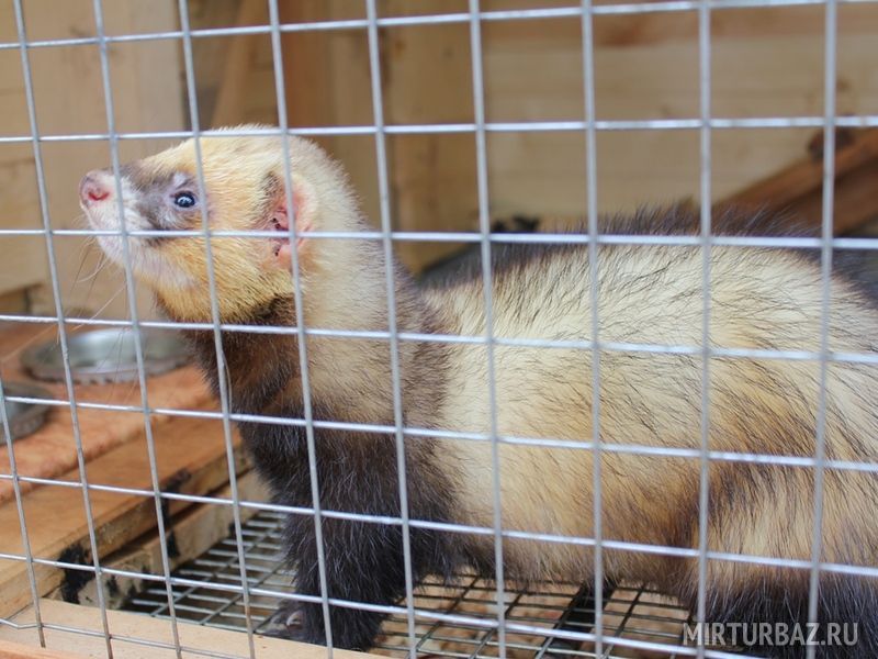 Территория