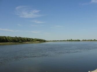Красавица река Волга | Астраханская Кувшинка, Астраханская область