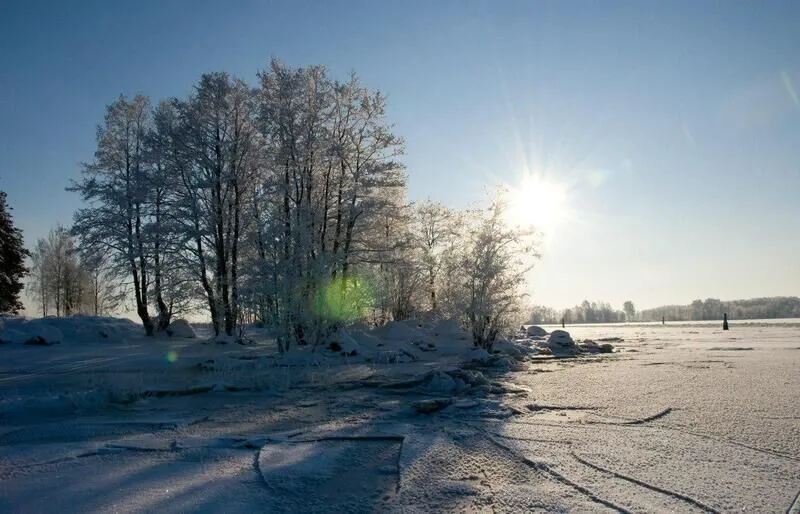 Красота природы | Александр-Парк, Ленинградская область