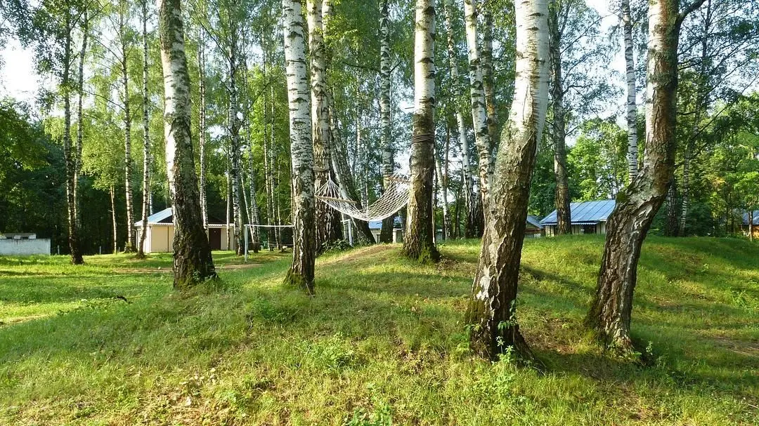 Территория | Красный Курган, Нижегородская область