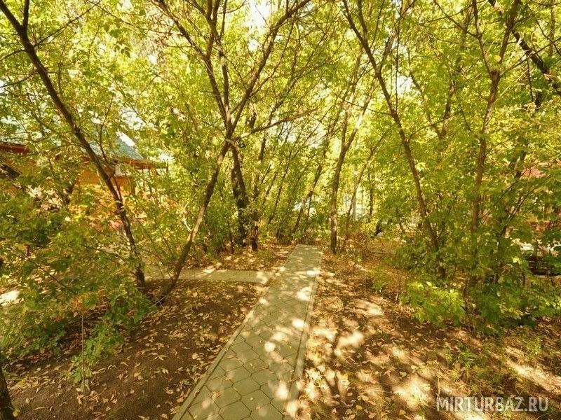 Отель «Тестовый», Московская область: фото 3