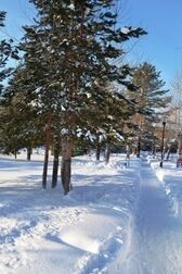 Территория