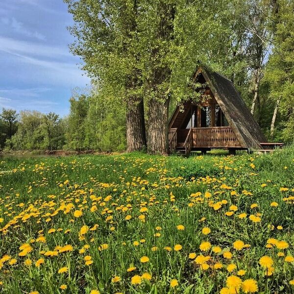 Теремок городище волгоградская область фото