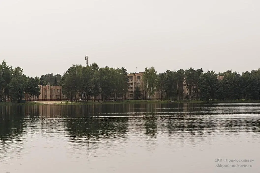 Боровое, Московская область: фото 4