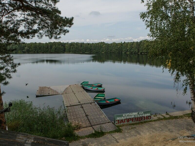 Фото луковое озеро ногинский район