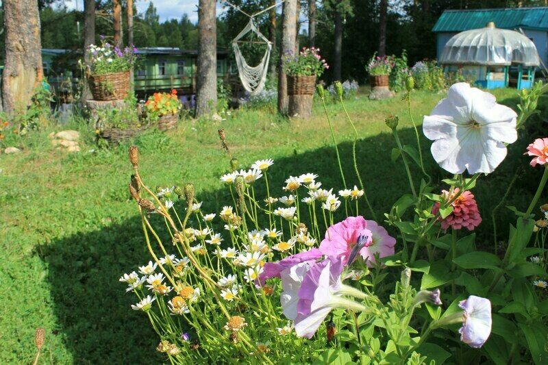 Цветы, свежий воздух и живая природа подымают бодрость духа | Старый канал, Вологодская область