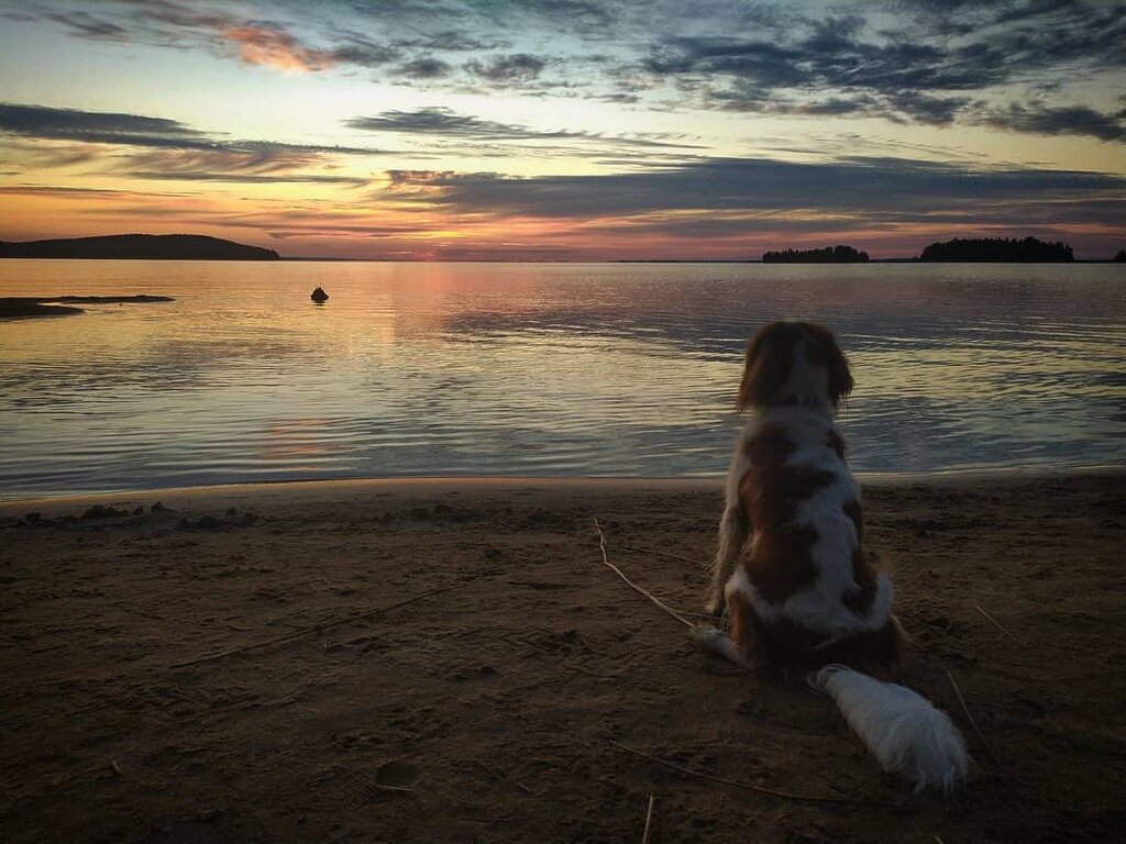 Фото из отзыва от 10.08.2021