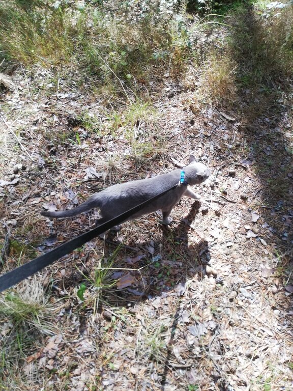 Фото из отзыва от 10.08.2021