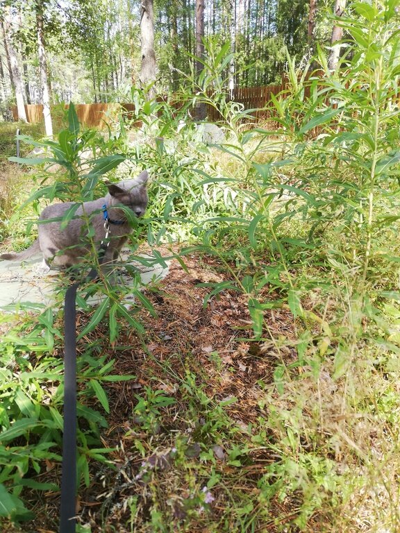 Фото из отзыва от 10.08.2021