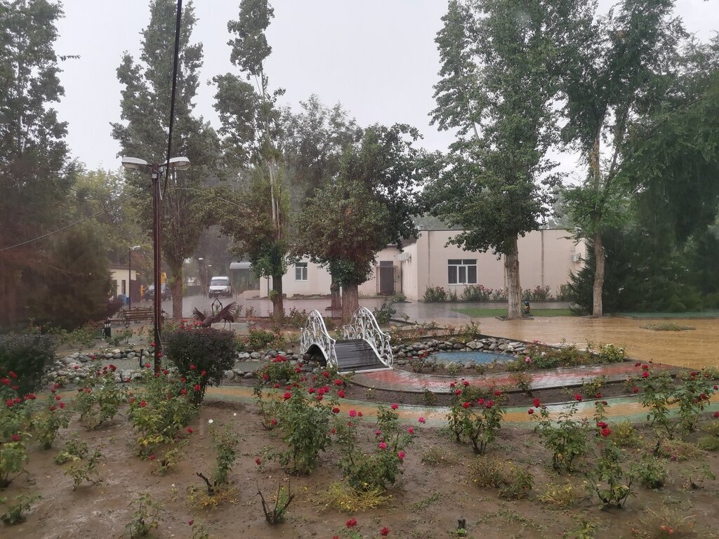 Фото из отзыва от 16.08.2021