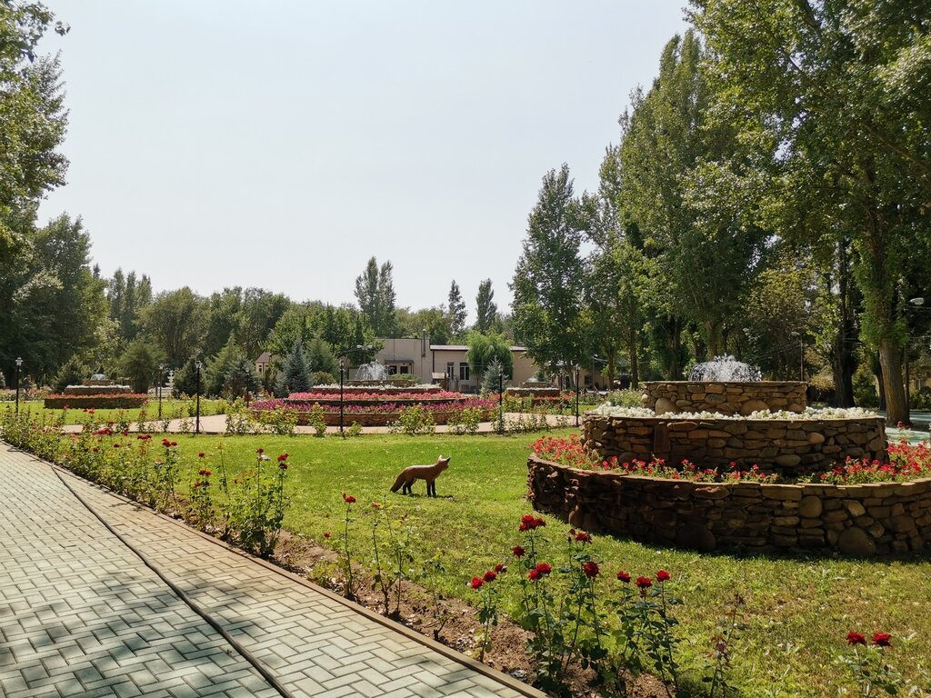 Фото из отзыва от 16.08.2021