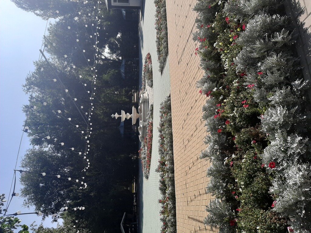 Фото из отзыва от 18.08.2021