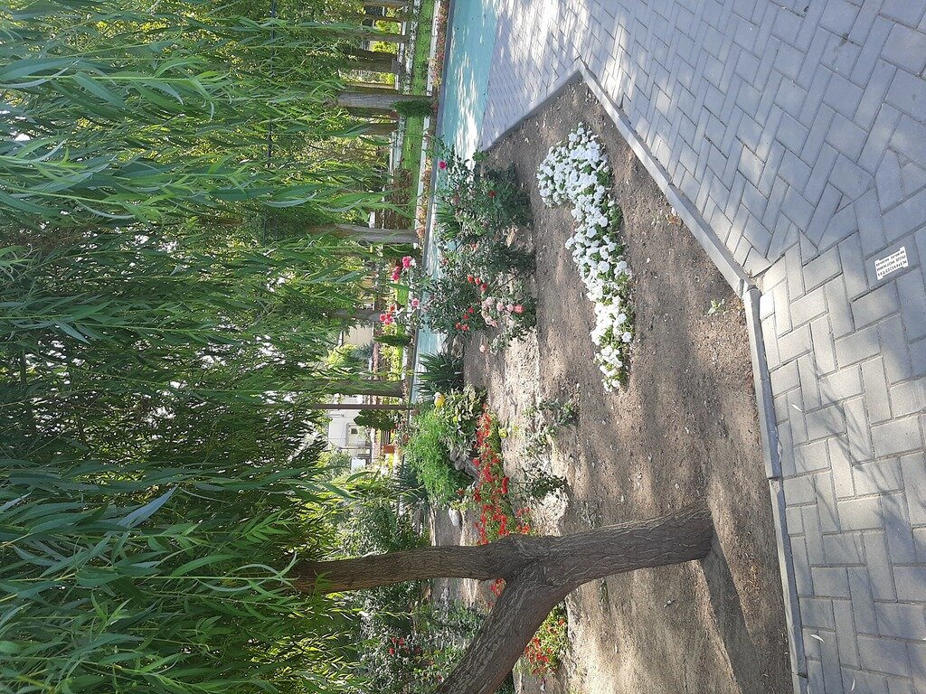 Фото из отзыва от 18.08.2021