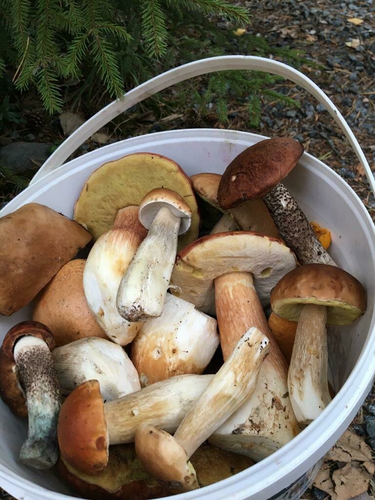 Фото 14 из отзыва о базе отдыха Арсенал