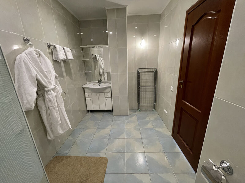 делюкс 313 (5)