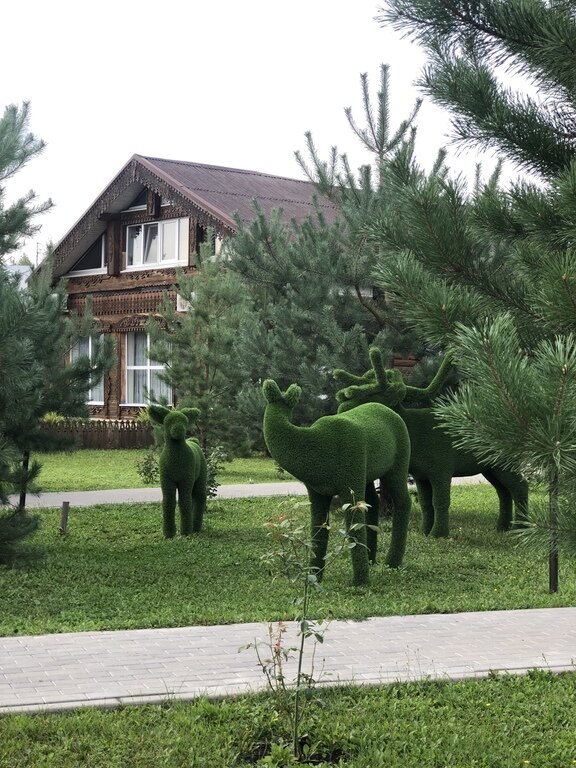 Фото из отзыва от 02.09.2021