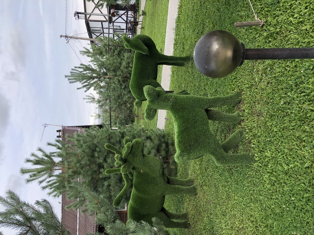 Фото из отзыва от 02.09.2021