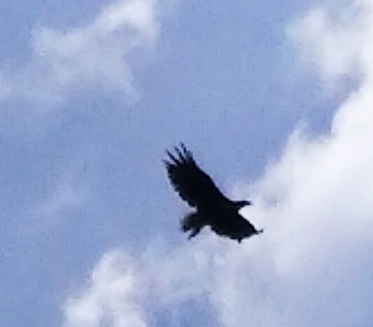 Фото из отзыва от 28.08.2021