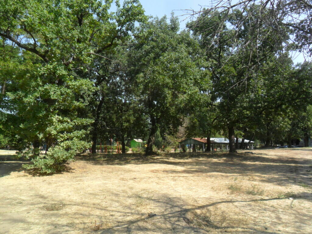 Фото из отзыва от 25.08.2021