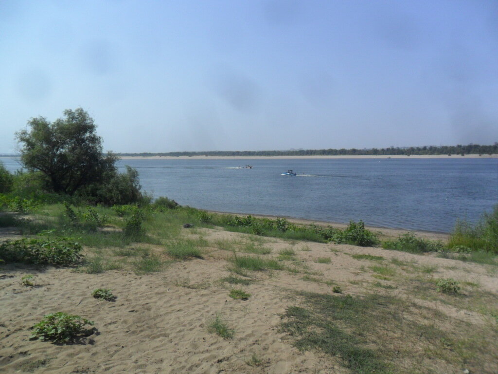 Фото из отзыва от 25.08.2021