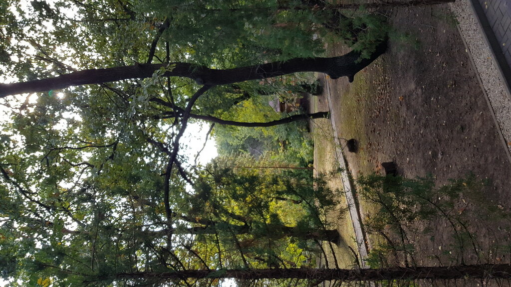 Фото из отзыва от 19.09.2021