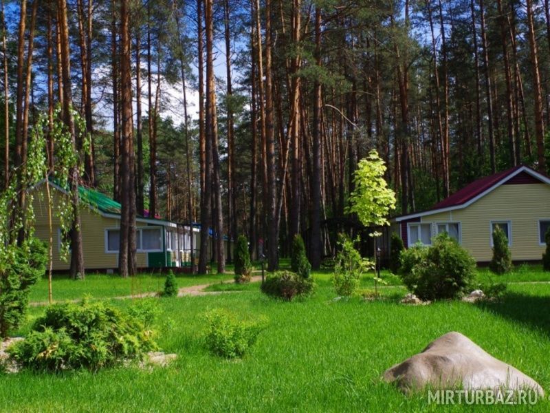 Сосновый бор брянск. Сосновый Бор турбаза в Брянске. Сосновый Бор Домашово Брянск. База отдыха Сосновый Бор Домашово. Сосновый Бор Брянск база отдыха Домашово.